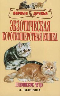 Книга Экзотическая короткошерстная кошка. Плюшевое чудо Аквариум Принт