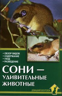 Книга Сони - удивительные животные Аквариум Принт