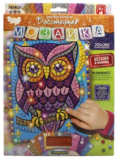 Набор для творчества Danko Toys Мозаика. Совушка БМ-02-08
