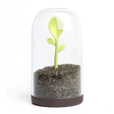 Банка для хранения сыпучих продуктов Qualy Sprout Jar