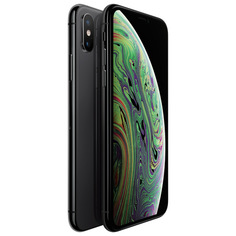 Смартфон Apple iPhone XS 64GB Space Grey (FT9E2RU/A) восстановленный