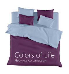 Постельное белье 1,5 сп., Черника со сливками "COLORS OF LIFE", "ГолдТекс" Gold Tex
