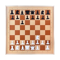 Шахматы Десятое Королевство, демонстрационные, магнитные