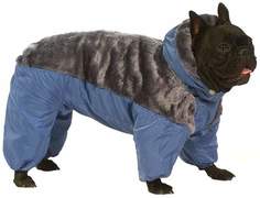 Комбинезон для собак ТУЗИК Йоркширский терьер женский, в ассортименте, длина спины 31 см