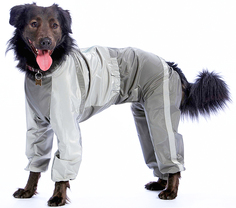 Комбинезон для собак ТУЗИК Далматин женский, в ассортименте, длина спины 61 см