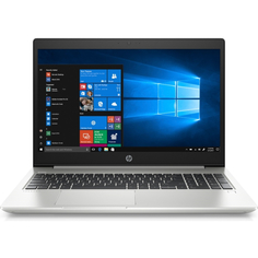 Ноутбук HP ProBook 455 G7 (175W7EA)