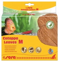 Листья индийского миндаля Catappa Leaves M для аквариума, 18 см (10 шт) Sera