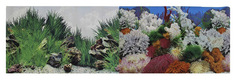 Фон для аквариума Prime Морской пейзаж/Подводный рельеф, винил, 100x50 см P.R.I.M.E.