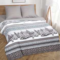 Комплект постельного белья 2-х спальный поплин (Аляска) АРТПОСТЕЛЬ