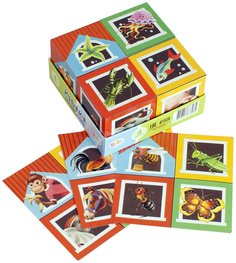 Набор кубиков "Строим домик" Step Puzzle