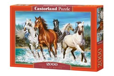 Пазл Castorland 2000 деталей