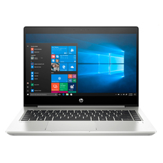 Ноутбук HP 445 G6 Silver (7DD99EA)