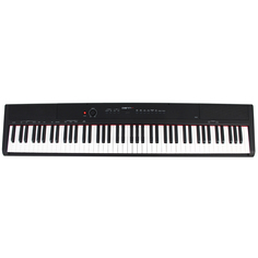 Цифровое пианино Denn PRO PW01 BK