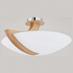 Потолочный светильник Alfa Calmi 90058