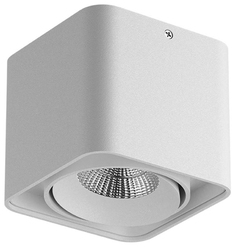 Потолочный светильник Lightstar Monocco 212516