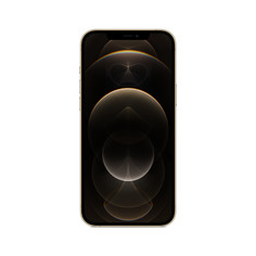 Смартфон Apple iPhone 12 Pro Max 512GB Gold (MGDK3RU/A)