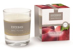 Ароматическая свеча 170гр сочный персик Esteban