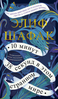 Книга 10 минут 38 секунд в этом странном мире Азбука