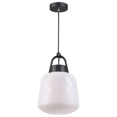 Уличный Подвесной светильник Novotech Conte 370601