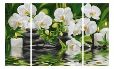 Раскраска по номерам schipper триптих цветы " wellness-oase", 50х80 см, 1/6