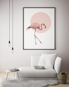 Постер Фламинго 50х70 в тубусе
