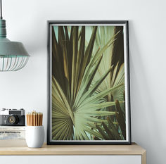 Постер Винтажная пальма 50х70 в рамке