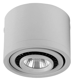 Потолочный светодиодный светильник Favourite Reflector 1776-1C