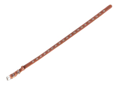 Ошейник Collar Для собак 50 см 51936СТ 50см*20мм
