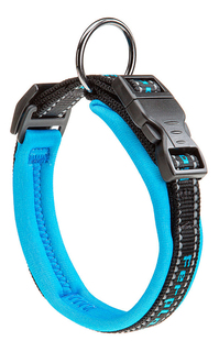 Ошейник Ferplast Sport Dog C20/43 78003925, голубой