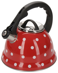 Чайник для плиты Regent 94-1507 2.8 л