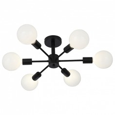 Люстра потолочная ST Luce SL419.402.06 Evoluce