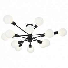 Люстра потолочная ST Luce SL419.402.12 Evoluce