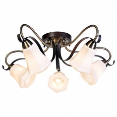 Люстра потолочная SilverLight 225.59.5