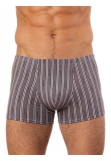 Трусы мужские UOMO FIERO 039FH серые XL