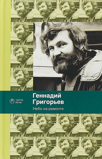 Книга Небо на Ремонте Рипол Классик