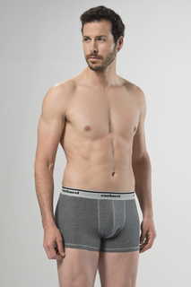 Трусы мужские Cacharel 1319 серые L