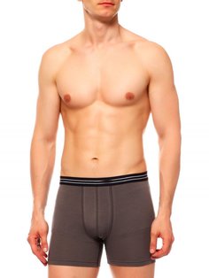 Боксеры мужские BlackSpade BS9538 серые L