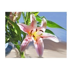 Картина-открытка мозаикой "Лилия" (13 цветов) Molly