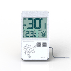 Электронный термометр RST Q151