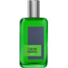 Туалетная вода Brocard Color Feeling Green 100 мл