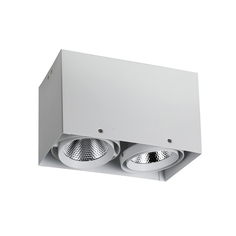 Точечный светильник Flashled 1986-2U Favourite