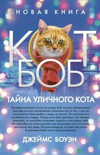 Книга Тайна Уличного кота Рипол Классик