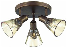 Спот Favourite 1795-3U e14