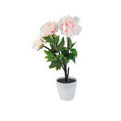 Декоративный светильник СТАРТ LED Пион3 розовый Start