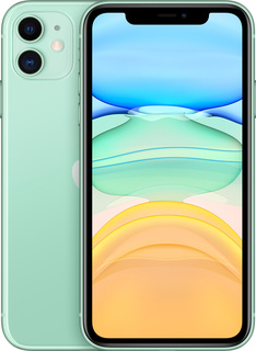 Смартфон Apple iPhone 11 64GB с новой комплектацией Green (MHDG3RU/A)
