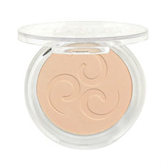 Пудра Luxvisage SILK DREAM nude skin №2