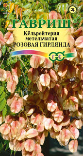 Семена. Кёльрейтерия метельчатая "Розовая гирлянда", (10 штук) Гавриш