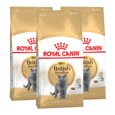 Сухой корм для кошек ROYAL CANIN British Shorthair Adult , домашняя птица, 3шт, 2кг