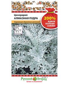 Цветы Цинерария Алмазная пудра (200%) (0,2г) Семена НК