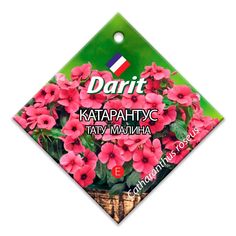 Катарантус Тату Малина Агроуспех